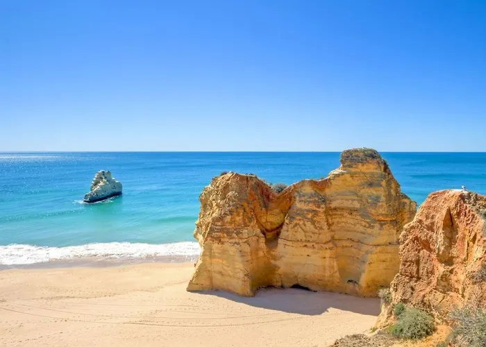 Rocha 1 Appartamento *