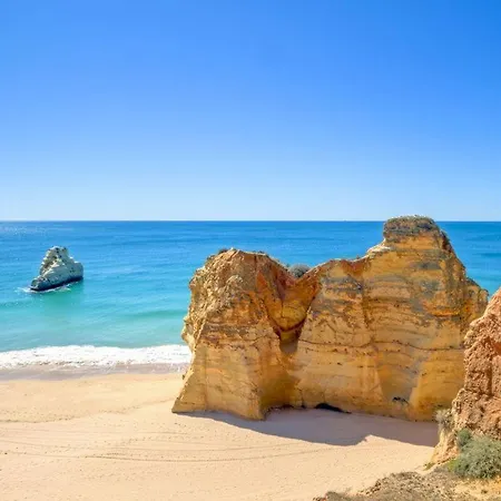 Rocha 1 Appartement *